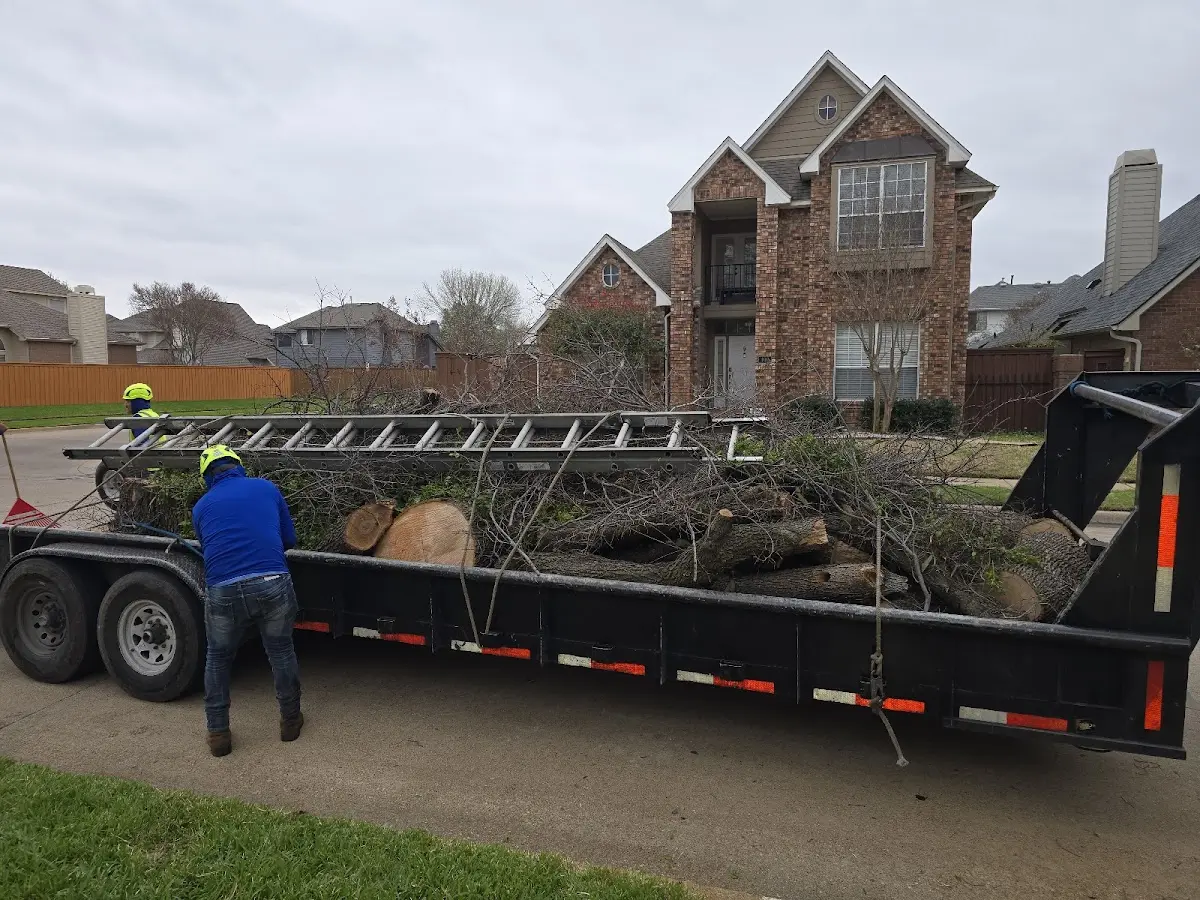 Expert Tree Fertilization with proper safety equipment in Pine Ridge